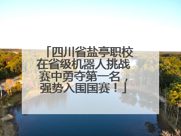 四川省盐亭职校在省级机器人挑战赛中勇夺第一名，强势入围国赛！