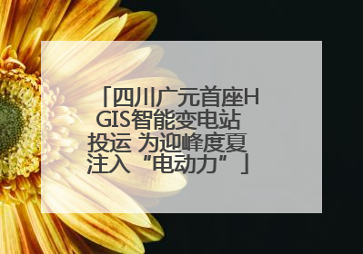 四川广元首座HGIS智能变电站投运 为迎峰度夏注入“电动力”