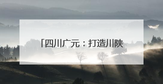 四川广元：打造川陕甘渝铝“三大中心” 剑指千亿铝业版图