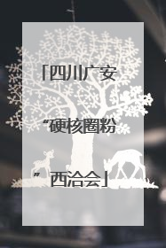 四川广安“硬核圈粉”西洽会