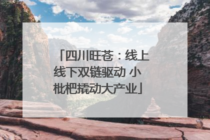 四川旺苍：线上线下双链驱动 小枇杷撬动大产业