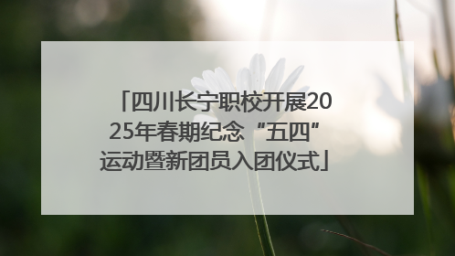 四川长宁职校开展2025年春期纪念“五四”运动暨新团员入团仪式