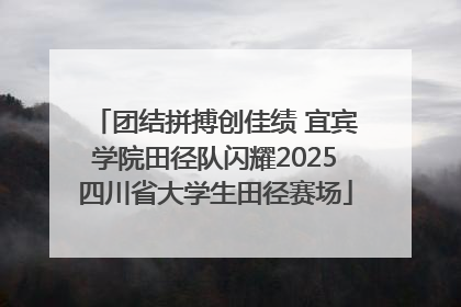 团结拼搏创佳绩 宜宾学院田径队闪耀2025四川省大学生田径赛场