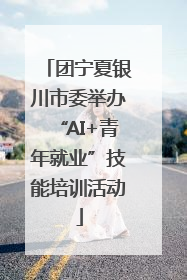 团宁夏银川市委举办“AI+青年就业”技能培训活动
