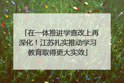在一体推进学查改上再深化！江苏扎实推动学习教育取得更大实效