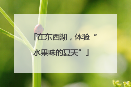 在东西湖，体验“水果味的夏天”