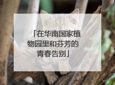 在华南国家植物园里和芬芳的青春告别