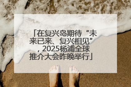 在复兴岛期待“未来已来、复兴相见”，2025杨浦全球推介大会昨晚举行
