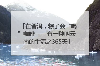 在普洱，粽子会“喝”咖啡——有一种叫云南的生活之365天