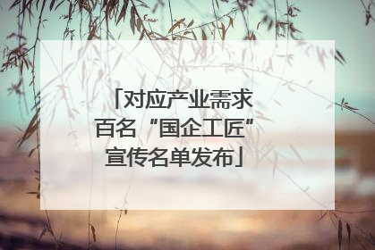 对应产业需求 百名“国企工匠”宣传名单发布