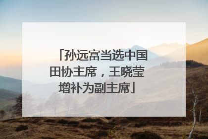 孙远富当选中国田协主席，王晓莹增补为副主席