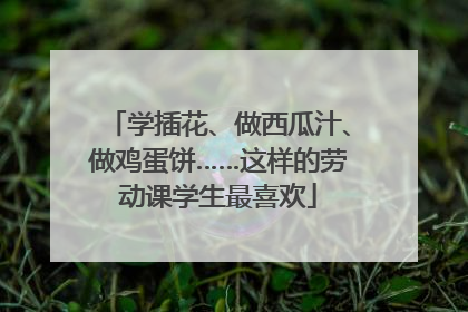 学插花、做西瓜汁、做鸡蛋饼……这样的劳动课学生最喜欢