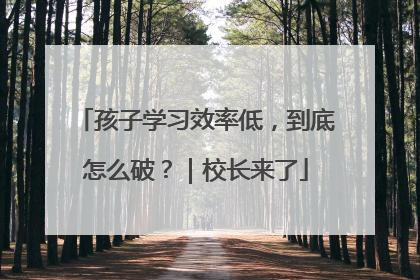 孩子学习效率低，到底怎么破？｜校长来了