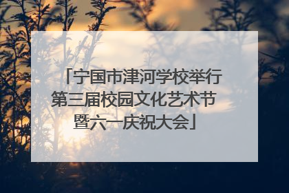 宁国市津河学校举行第三届校园文化艺术节暨六一庆祝大会