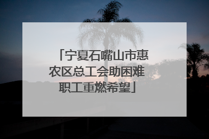 宁夏石嘴山市惠农区总工会助困难职工重燃希望