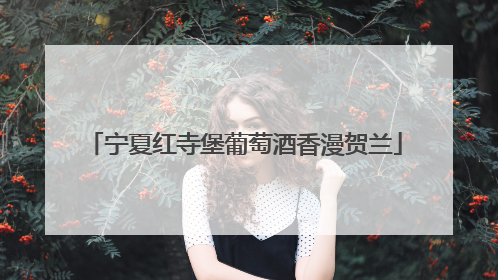宁夏红寺堡葡萄酒香漫贺兰