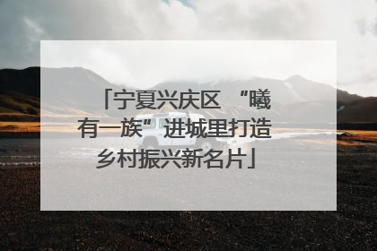 宁夏兴庆区 “曦有一族”进城里打造乡村振兴新名片