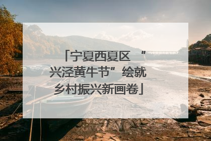宁夏西夏区 “兴泾黄牛节”绘就乡村振兴新画卷