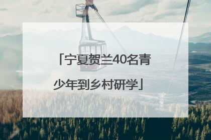 宁夏贺兰40名青少年到乡村研学