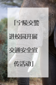 宁陵交警进校园开展交通安全宣传活动