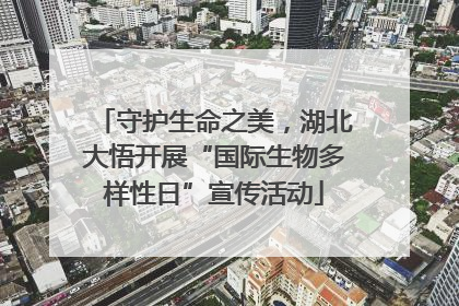 守护生命之美，湖北大悟开展“国际生物多样性日”宣传活动