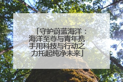 守护蔚蓝海洋：海洋至尊与青年携手用科技与行动之力托起纯净未来
