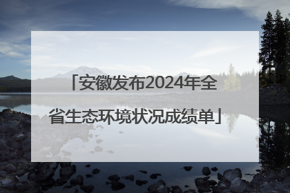 安徽发布2024年全省生态环境状况成绩单