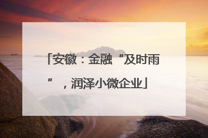 安徽：金融“及时雨”，润泽小微企业