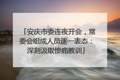 安庆市委连夜开会，常委会组成人员逐一表态：深刻汲取惨痛教训