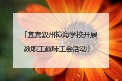 宜宾叙州樟海学校开展教职工趣味工会活动
