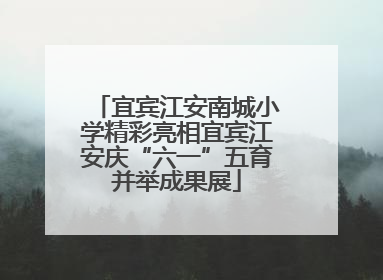 宜宾江安南城小学精彩亮相宜宾江安庆“六一”五育并举成果展