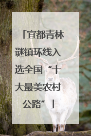 宜都青林谜镇环线入选全国“十大最美农村公路”