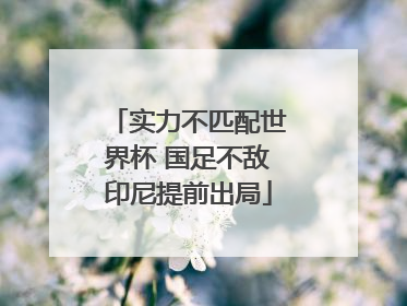 实力不匹配世界杯 国足不敌印尼提前出局