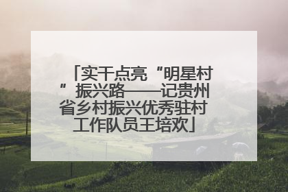 实干点亮“明星村”振兴路——记贵州省乡村振兴优秀驻村工作队员王培欢