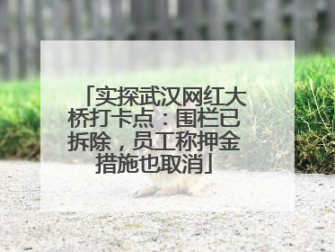 实探武汉网红大桥打卡点：围栏已拆除，员工称押金措施也取消