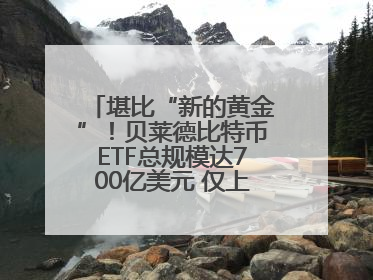 堪比“新的黄金”！贝莱德比特币ETF总规模达700亿美元 仅上市一年多