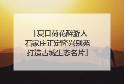 夏日荷花醉游人 石家庄正定隆兴别苑打造古城生态名片