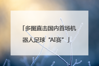 多图直击国内首场机器人足球“AI赛”