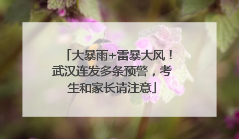 大暴雨+雷暴大风！武汉连发多条预警，考生和家长请注意