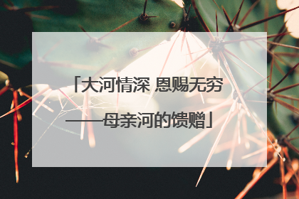 大河情深 恩赐无穷——母亲河的馈赠