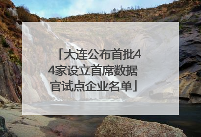 大连公布首批44家设立首席数据官试点企业名单