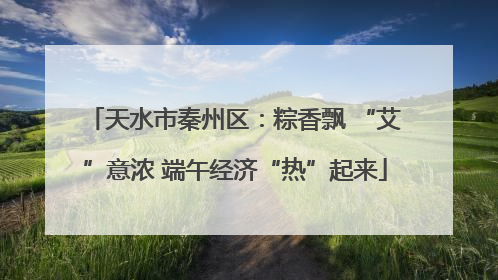 天水市秦州区：粽香飘 “艾”意浓 端午经济“热”起来