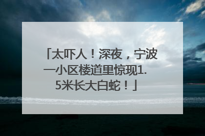 太吓人！深夜，宁波一小区楼道里惊现1.5米长大白蛇！