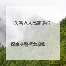 失智老人高速逆行 保康交警紧急救助