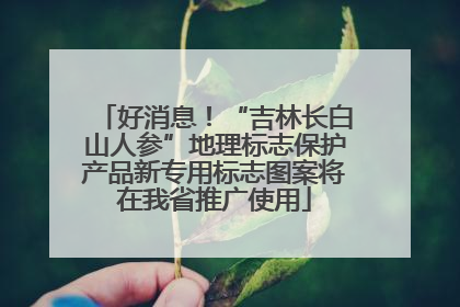 好消息！“吉林长白山人参”地理标志保护产品新专用标志图案将在我省推广使用