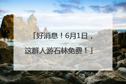 好消息！6月1日，这群人游石林免费！