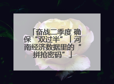 奋战二季度 确保“双过半”丨河南经济数据里的“拼抢密码”