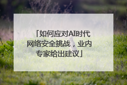 如何应对AI时代网络安全挑战，业内专家给出建议