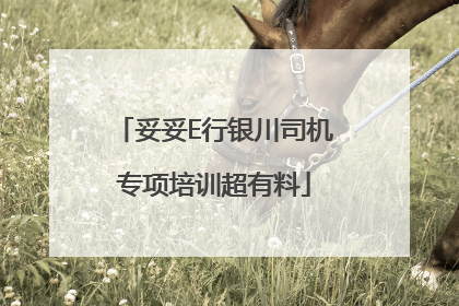 妥妥E行银川司机专项培训超有料