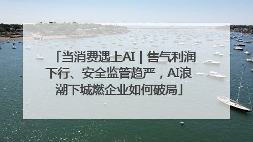 当消费遇上AI｜售气利润下行、安全监管趋严，AI浪潮下城燃企业如何破局